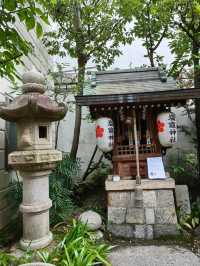 去京都摸下發達牛