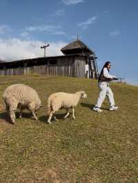 อาข่า ฟาร์มวิลล์ Akha Farm Ville 