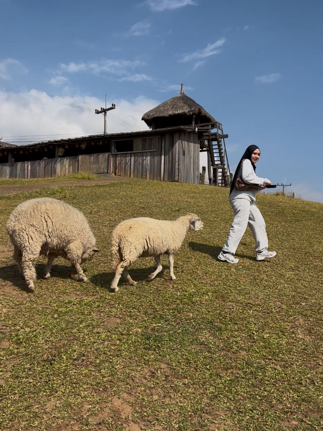 อาข่า ฟาร์มวิลล์ Akha Farm Ville 