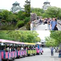 โอซาก้าในเดือนพฤษภาคม 🎌🏯