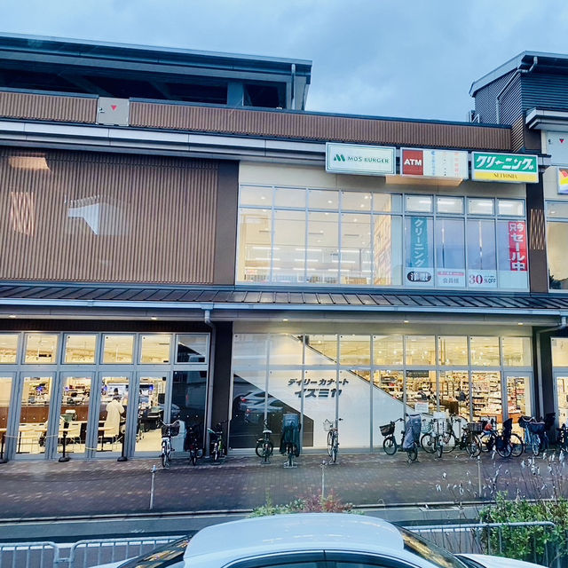 日本散策：古都奈良，與神的使者相遇