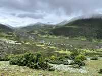 🌈 Kangding’s Muya Holy Land – Where Summer Brings Snow & Rainbows ❄️🐾