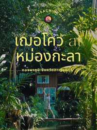 เฌอโคว at หม่องกะลา