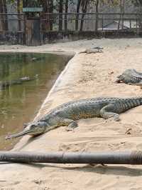 Chitwan National Park