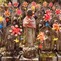 🌿 Solo Escape: Nakai-machi – Kanagawa’s Hidden Mountain Gem