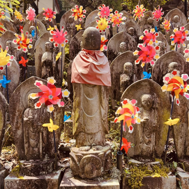 🌿 Solo Escape: Nakai-machi – Kanagawa’s Hidden Mountain Gem
