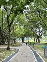 Where Skyscrapers Meet Serenity – Discover KLCC Park
