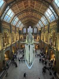 Walking With Dinosaurs At London’s Natural History Museum 