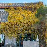 บ้านนาคาเฟ่ อุดรธานี