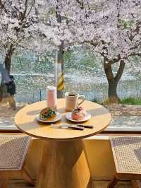 🇰🇷 Seoul Suburbs | Dreamy Cherry Blossom Café 🌸💕