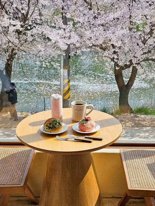 🇰🇷 Seoul Suburbs | Dreamy Cherry Blossom Café 🌸💕