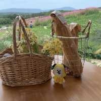 Donghouse เขาใหญ่ — ที่พักใจสีขาวกลางหุบเขา 