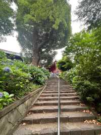 Tokyo’s Cultural Oasis: Welcome to Ueno Park