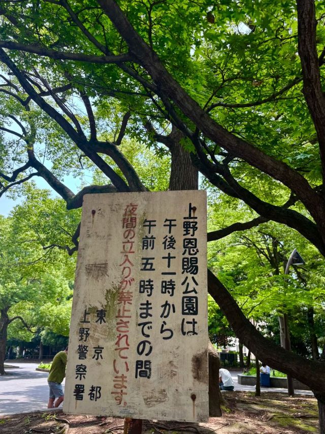 Ueno Park Tokyo: Where Nature Meets Culture