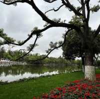 🌿 A Peaceful Escape in Kunming: Green Lake Park (翠湖) 🌿