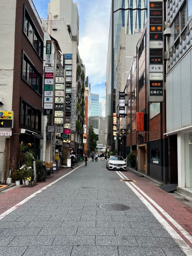 Discover Ginza: Tokyo’s Chic Heartbeat
