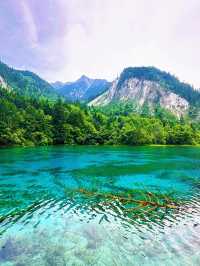 🌿✨ Discover the Enchanting Beauty of Jiuzhaigou Valley ✨🌿
