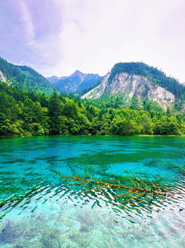 🌿✨ Discover the Enchanting Beauty of Jiuzhaigou Valley ✨🌿