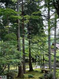 京都必去景點（八） 三千院🌳禪意之美