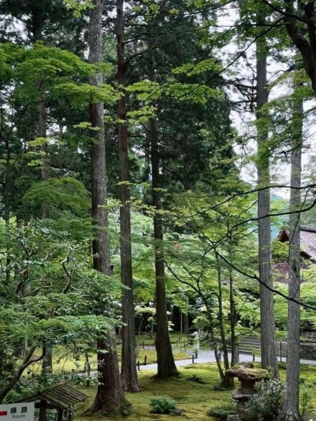 京都必去景點（八） 三千院🌳禪意之美