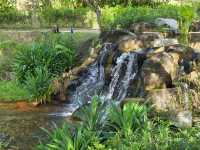 The magical dragon pond in Kong Meng San Temple complex