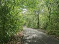 สวนสาธารณะ & สวนพฤกษชาติ ศรีนครเขื่อนขันธ์