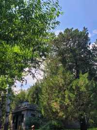The majectic greeneries of the Temple of Heaven North Gate