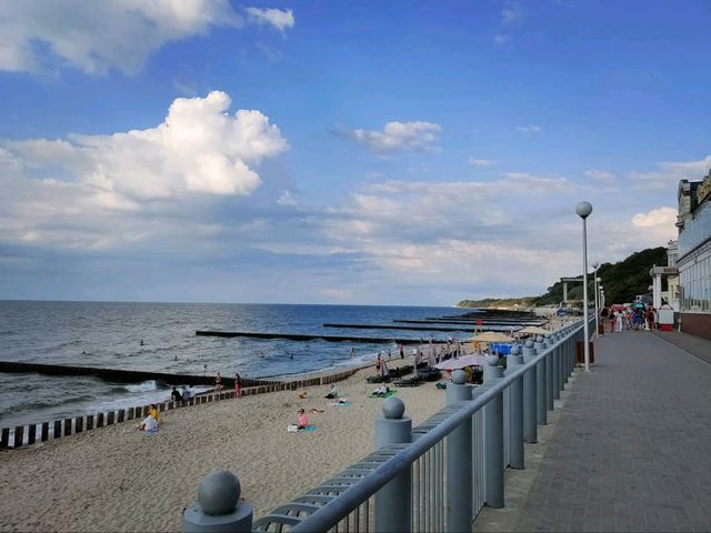 Seaside Chill and Forest Vibes in Svetlogorsk