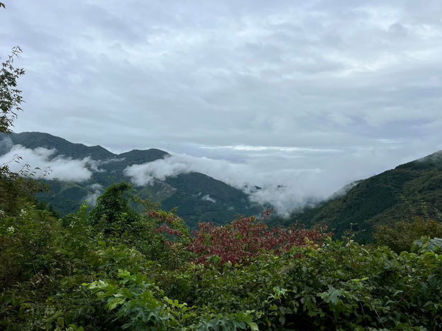 日本四國之旅 道後溫泉 島波海道 松山城