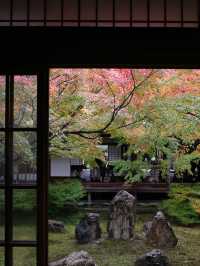 【建仁寺】風神雷神と禅の世界⚡静寂とアートが共存する東山の名刹
