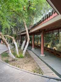 🌿🏯 Baohe Park