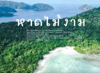 หาดไม้งาม