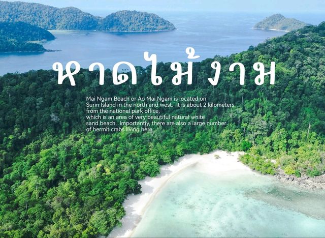 หาดไม้งาม