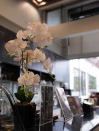 🏥Songphanburi Hotel