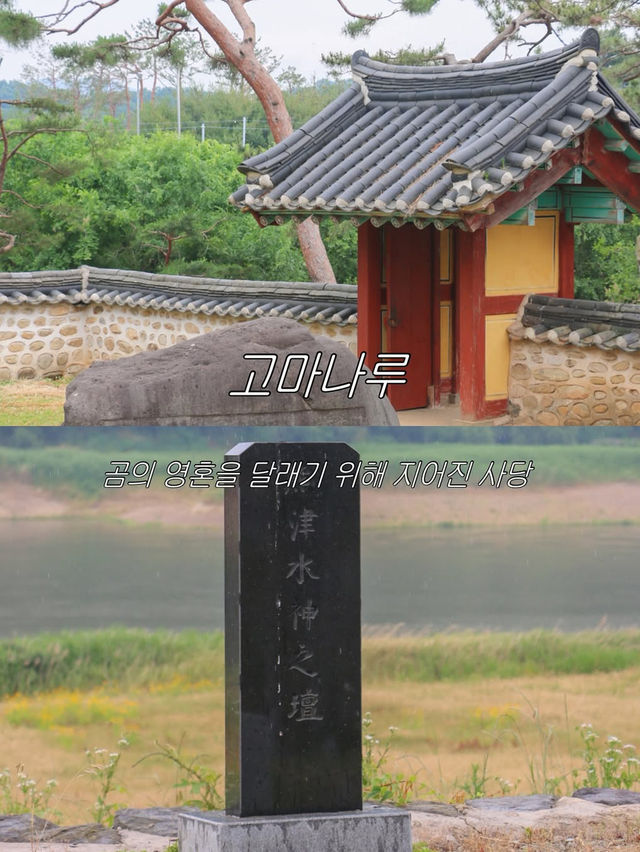 여행도 하고 환경도 지키는 탄소 중립 여행지 공주!