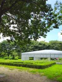 인천대공원 이쁜 곳