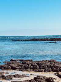 A Serene Stretch of Unspoiled Coastal Beauty