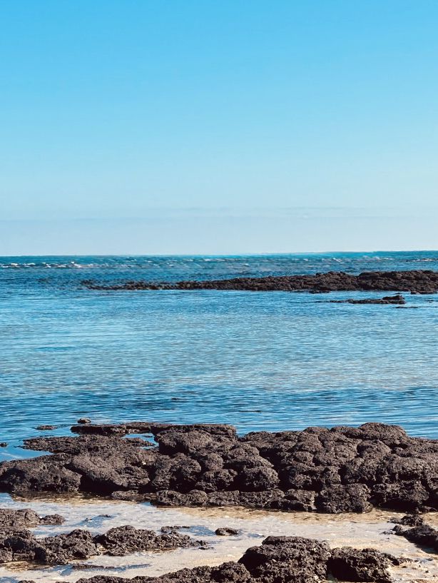 A Serene Stretch of Unspoiled Coastal Beauty