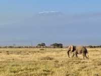 Kenya - Tanzania trip 2025 🇰🇪🇹🇿