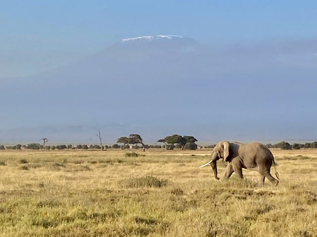 Kenya - Tanzania trip 2025 🇰🇪🇹🇿
