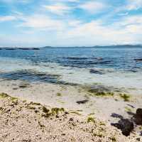 Family-Friendly Fun in Pristine, Shallow Waters