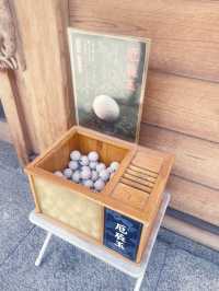 在貓咪神職的注視下參拜：東京妙義神社輕旅行