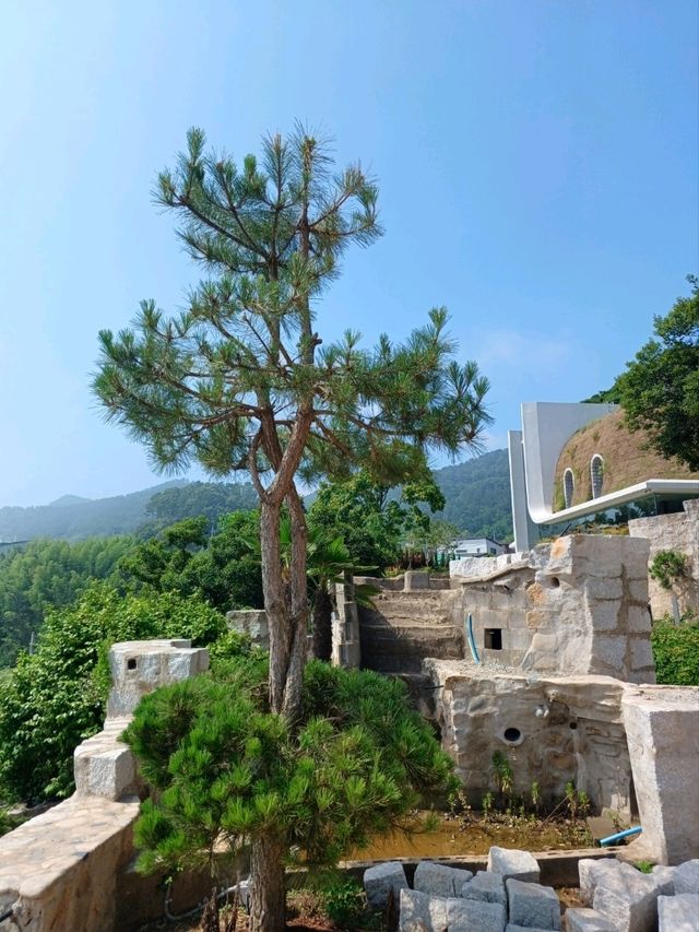 돌로 만든 꿈의 성
