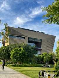 West Kowloon Cultural District, Artsy Walks and Chill City Vibes