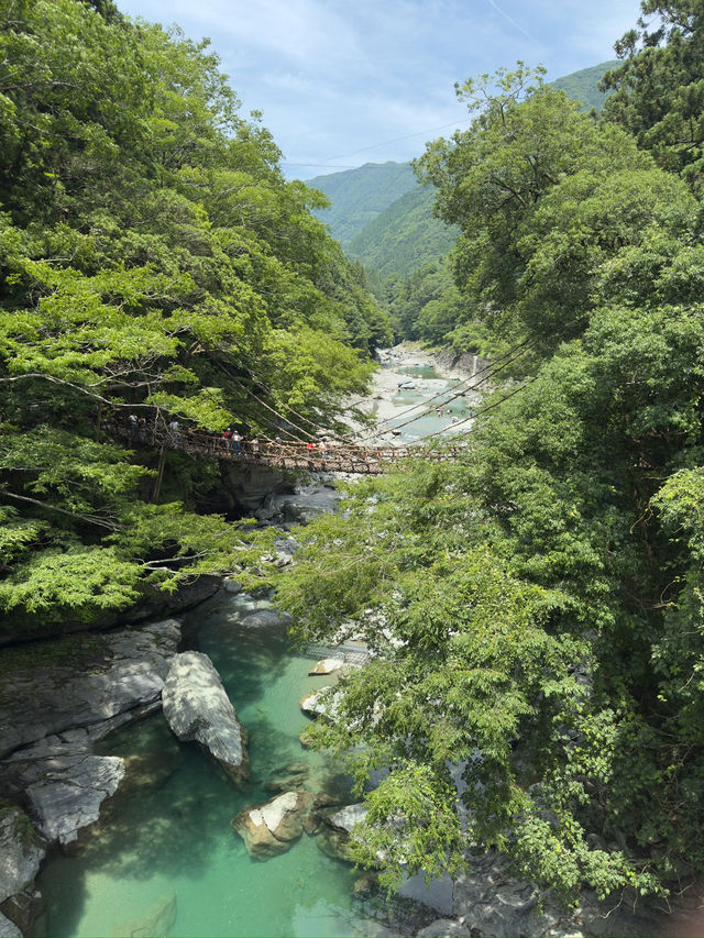 四國｜德島｜祖谷蔓橋｜一步一驚心的秘境冒險 🌿🌉