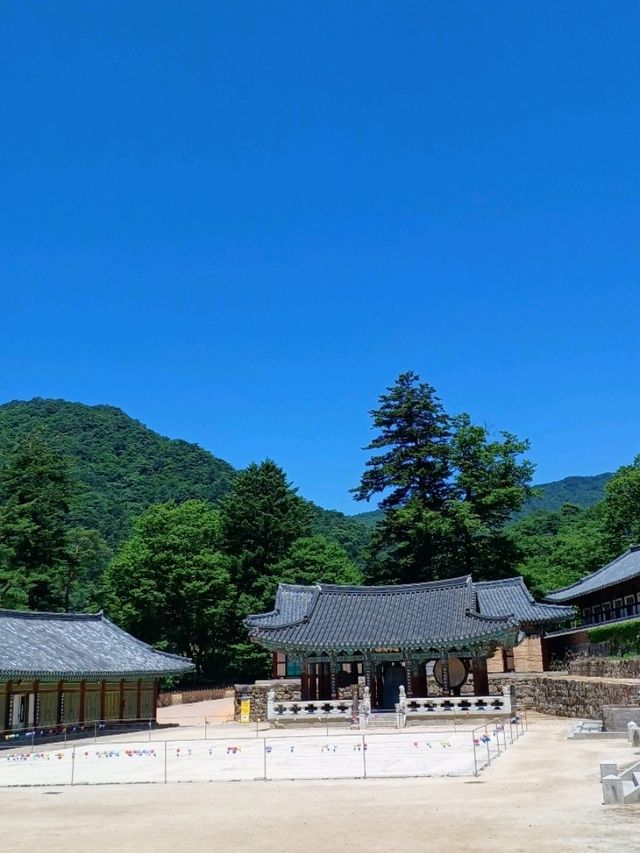 고요한 사색의 공간