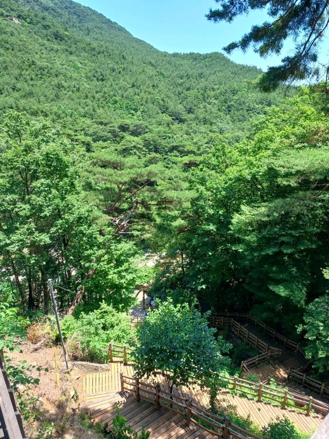자연속 사찰 여행