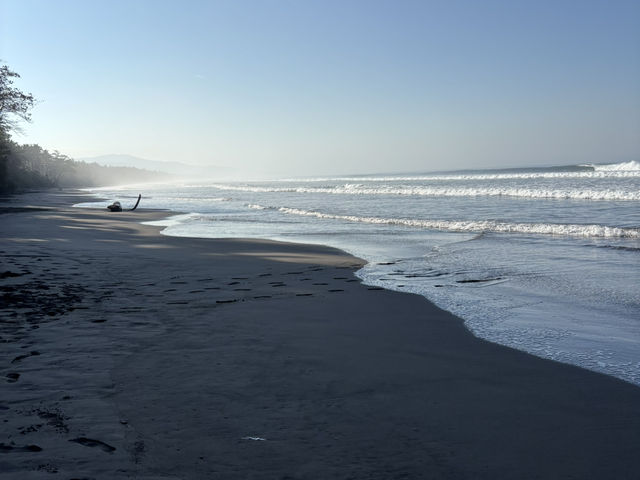 Surf, Sand, and Serenity: A Black Sand Escape in Bali 🥥