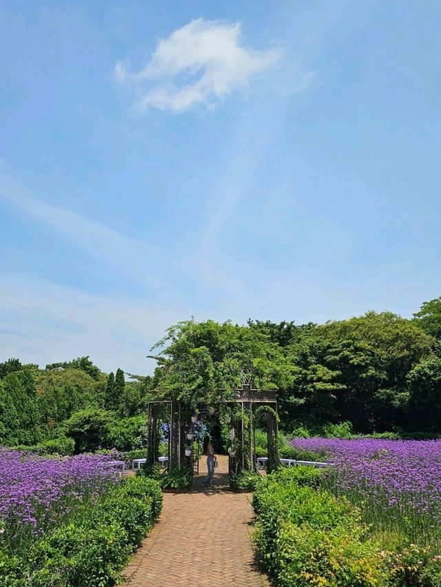 「森を走る列車で、自然のワンダーランドへ🚂🌿 Ecoland
