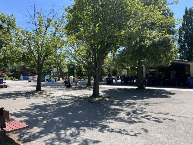 Toronto island Park 